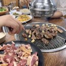 망구농원