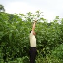 현제농장 이미지