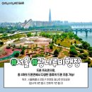 자유롭게저하늘에 이미지