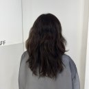 헤어오피스 | 부천 미용실 뮤텔라 헤어 밀본 클리닉 수지디자이너 후기