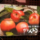 욱이네 농장 이미지