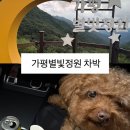 별 | 가평 화악터널 별빛정원 테슬라 차박 후기｜별은 예뻤지만 화장실 때문에 힘들었던 밤