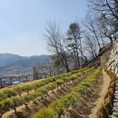 의식목장 이미지