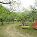 산내들펜션 이미지