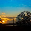 영덕 일출 민박 이미지