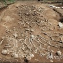 한국전쟁 진주지역 이미지