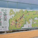 화순고인돌유적지(선사체험장밖) | 전남 화순군] 2025 화순 고인돌 가을 꽃 축제