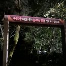 관음사입구 | 나혼자 한라산 관음사 코스 후기 (11월초)