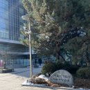 서울서초우체국 1층 이미지