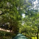 양산호수공원 이미지