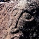 아우아(aua) 이미지