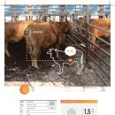 수산한우농장 이미지