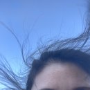 추산성불사 공중화장실 | 울릉도 가볼 만한 곳 추천: 성불사(약사여래대불)