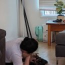 은지네김밥 이미지