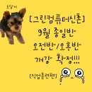 [국비과정][10/6] 캘리그라피 입문_ 오후반 | 9월 종일반·오전반·오후반 저녁/주말반개강 확정...최다 운영기관 · 2호선 신촌역 6번 출구 바로 앞!
