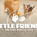 주식회사 펫프렌즈 이미지