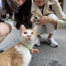몰입그리고집중