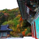 덕유산힐링존 브런치