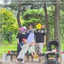 영주상망작은도서관 | [영주 여행] 아이들이랑 다녀온 영주 소수서원과 소수박물관 관람후기