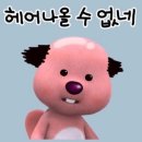 한우풍년