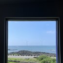 영커피제주