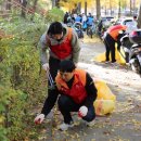 솔밭공원 이미지