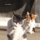 쓱쓱싹싹 - 여수시 무선로 147 | 쓱쓱싹싹