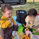 갈산목장 이미지