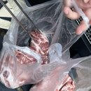 청미재 한옥 스테이 | 경남 진주 한옥 숙소 청미재 | 친구들과 단체 촌캉스 에어비앤비 후기