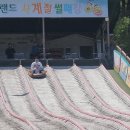 아이랑 태권도 이미지