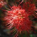 존재의 무게 이미지