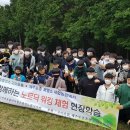 토종흑염소 이미지