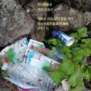 만사형통 이미지