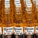 비토 국민여가캠핑장 이미지