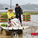 단평1리 이미지