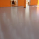 놀아줄개 이미지