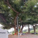 성암마을회관 이미지