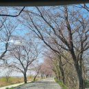 춘포면-03 | [전북 익산] 느낌 있는 감성 사진 남기기 좋은 '춘포역 폐역'