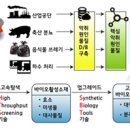(주)화인코리아 이미지