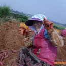 창대농장 이미지