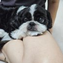 쀼