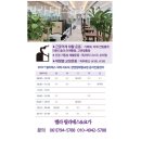 벨라필라테스&요가 | 중동필라테스 광양시 재활 체형교정 벨라필라테스&요가 가격 이벤트 후기