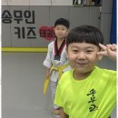 점핑클럽 태권도도장 | 키즈태권도 송무인키즈태권도와 줄넘기점핑클럽 후기