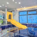 아일랜드 365 이미지