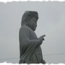 가야금 병창 이미지