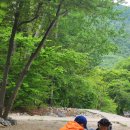 사지목나무그늘 이미지