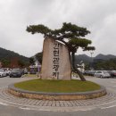 출렁다리 진입로 Daum카페