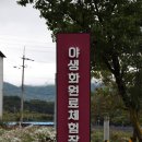 해안야생화체험장 이미지