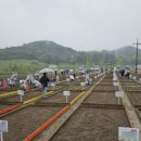 득템공인중개사사무소 이미지