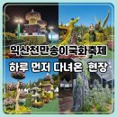 씨유 익산금마중앙점 | 익산천만송이국화축제 개장 전, 하루 먼저 다녀온 사전답사 후기